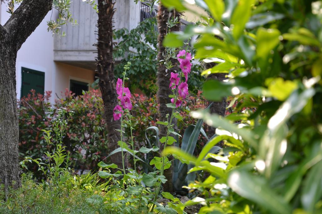 B&B Garda 4U Ντεζεντσάνο ντελ Γκάρντα Εξωτερικό φωτογραφία